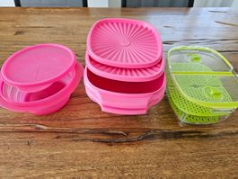 2x Tupperware Behälter Pink NEU 2 L und Beerenbehälter Neu