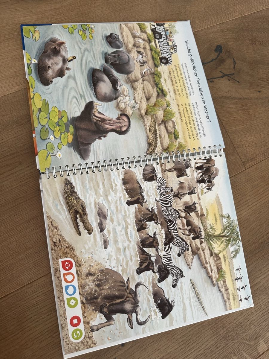 Tiptoi Giochi: Tiptoi Set inkl. Stift – Usato da Buchs SG venduto da pessego2008 5