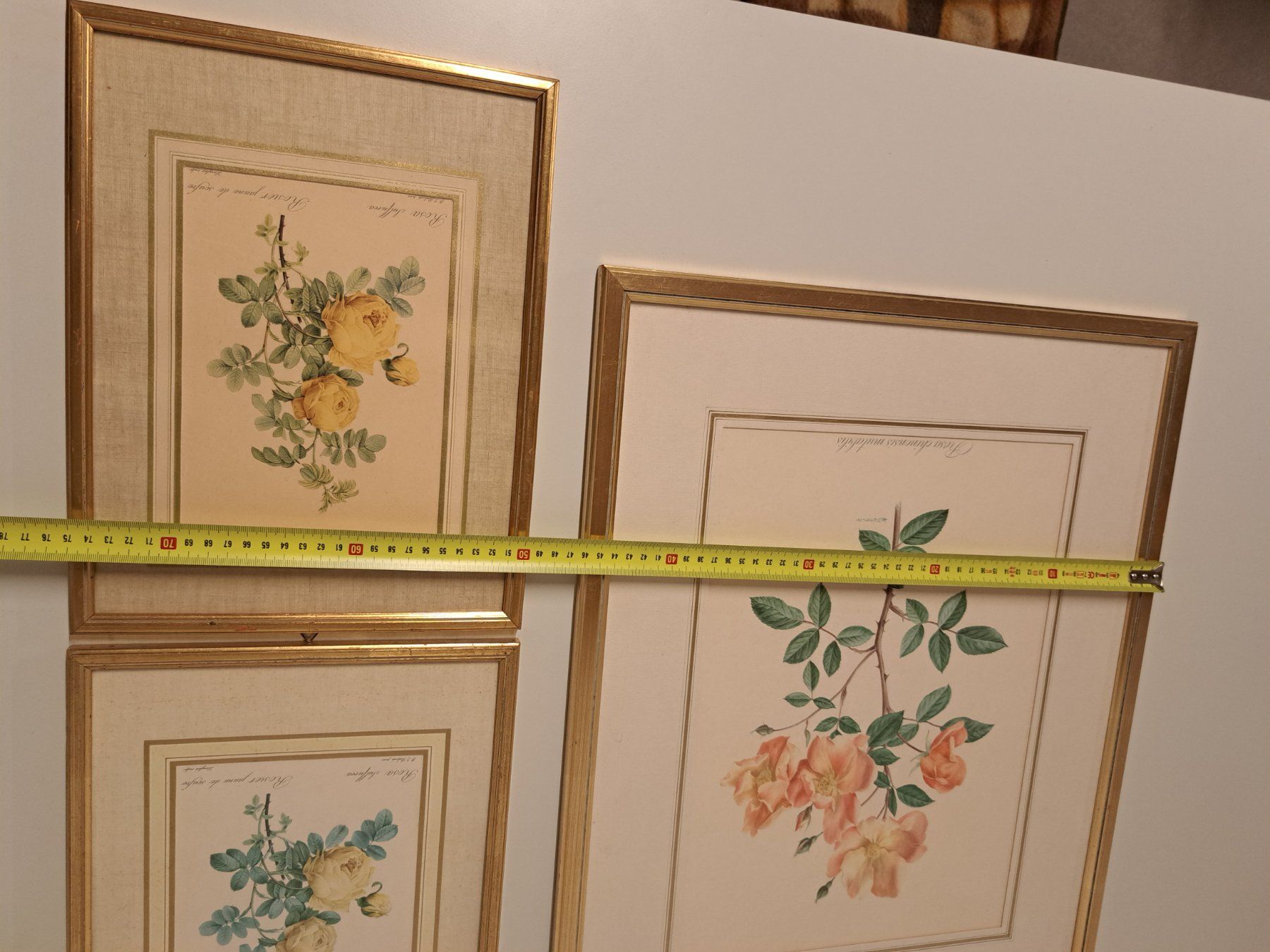 Incisioni: 3x Stich Bild Litho/ Rosen – Usato da Belp venduto da deal-now 5