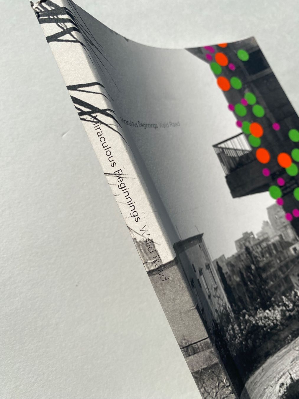 Bücher: Kunstbuch „Miraculous Beginnings"  Walid Raad – Gebraucht aus Zürich von lesgarcons 6