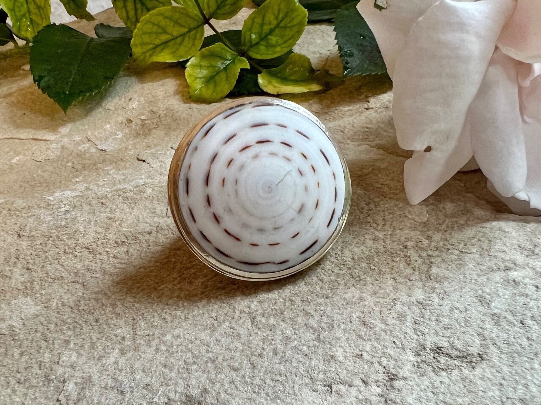 Mega XXL Muschel Ring - Gr 54 Shivas Auge - 3,3cm (Gebraucht) in Bern ...