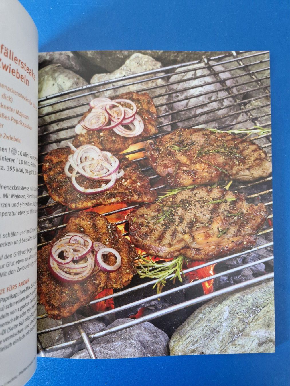 Bücher: GU Gräfe und Unzer Buch: Grillen – Gebraucht aus Münchenbuchsee von Aare22 5