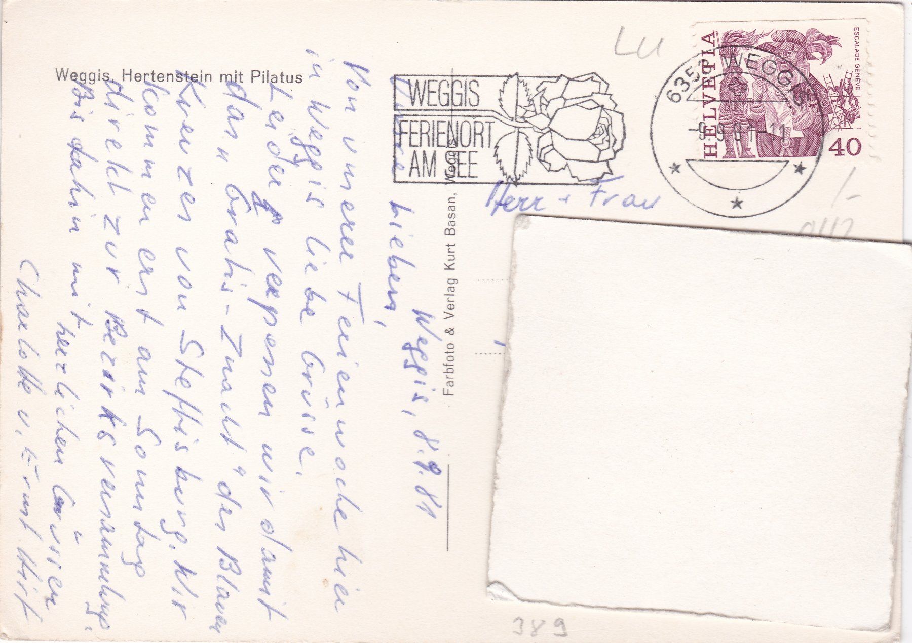 Cartoline postali: Weggis Hertenstein mit Pilatus 1981 – Usato da Herisau venduto da Lisegrat2008 1