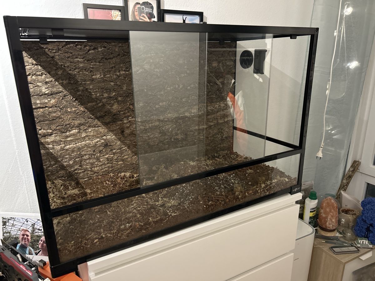 Terrario: Terrarium mit Lampe und Tisch – Usato da Spiez venduto da Marix990 1