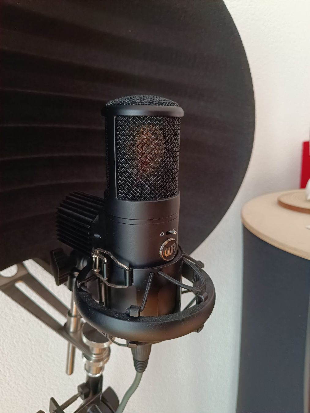 Warm Audio Microfoni: Warm Audio WA 8000 – Usato da Düdingen venduto da Raffipasquale