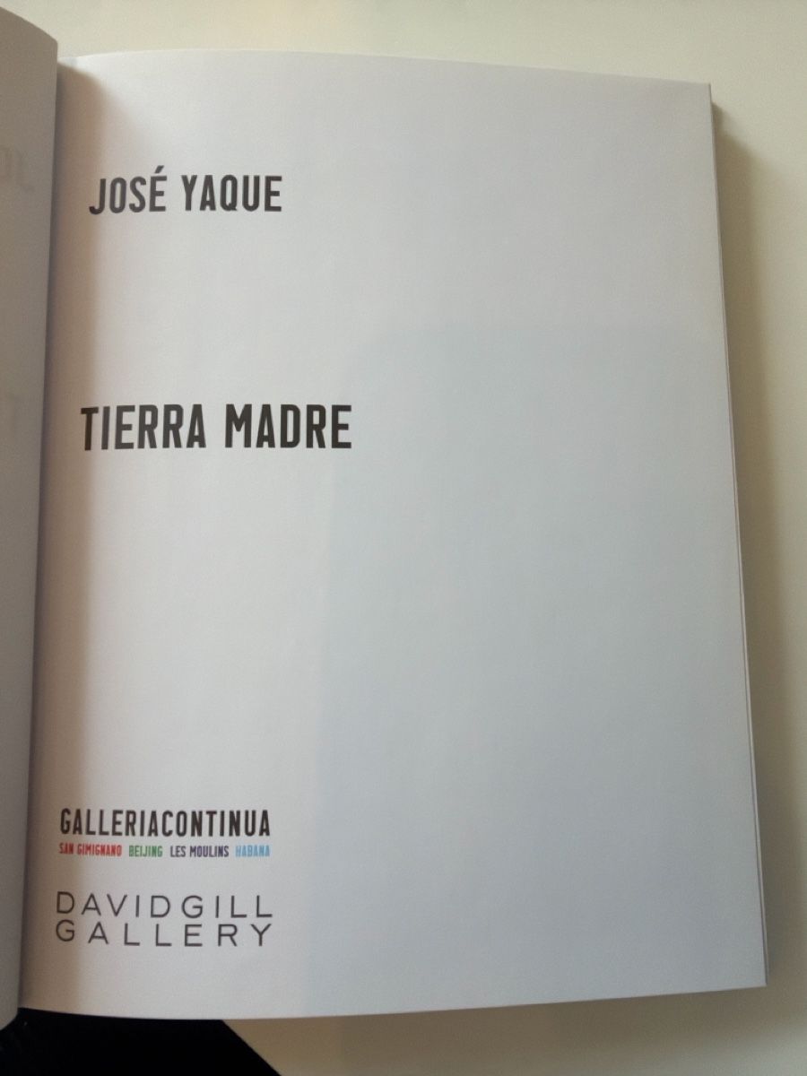 Libri: Tierra Madre  – Usato da Genève venduto da ary_c8tx 1