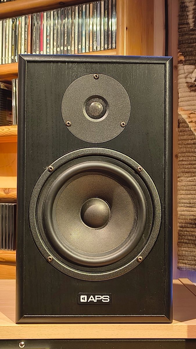 Casse acustiche: APS Klasik-2020 active Monitore (matched pair) – Usato da Unterägeri venduto da Vivi55vivi 3