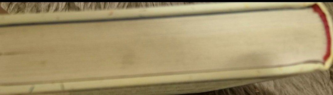 Libri: Buch der kleine Lord – Usato da Adliswil venduto da cha_fq9f 4