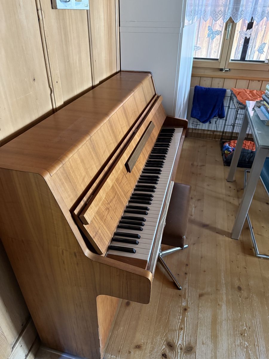 Strumenti musicali: Klavier der Marke Furstein Farfisa – Usato da Toffen venduto da Samson74