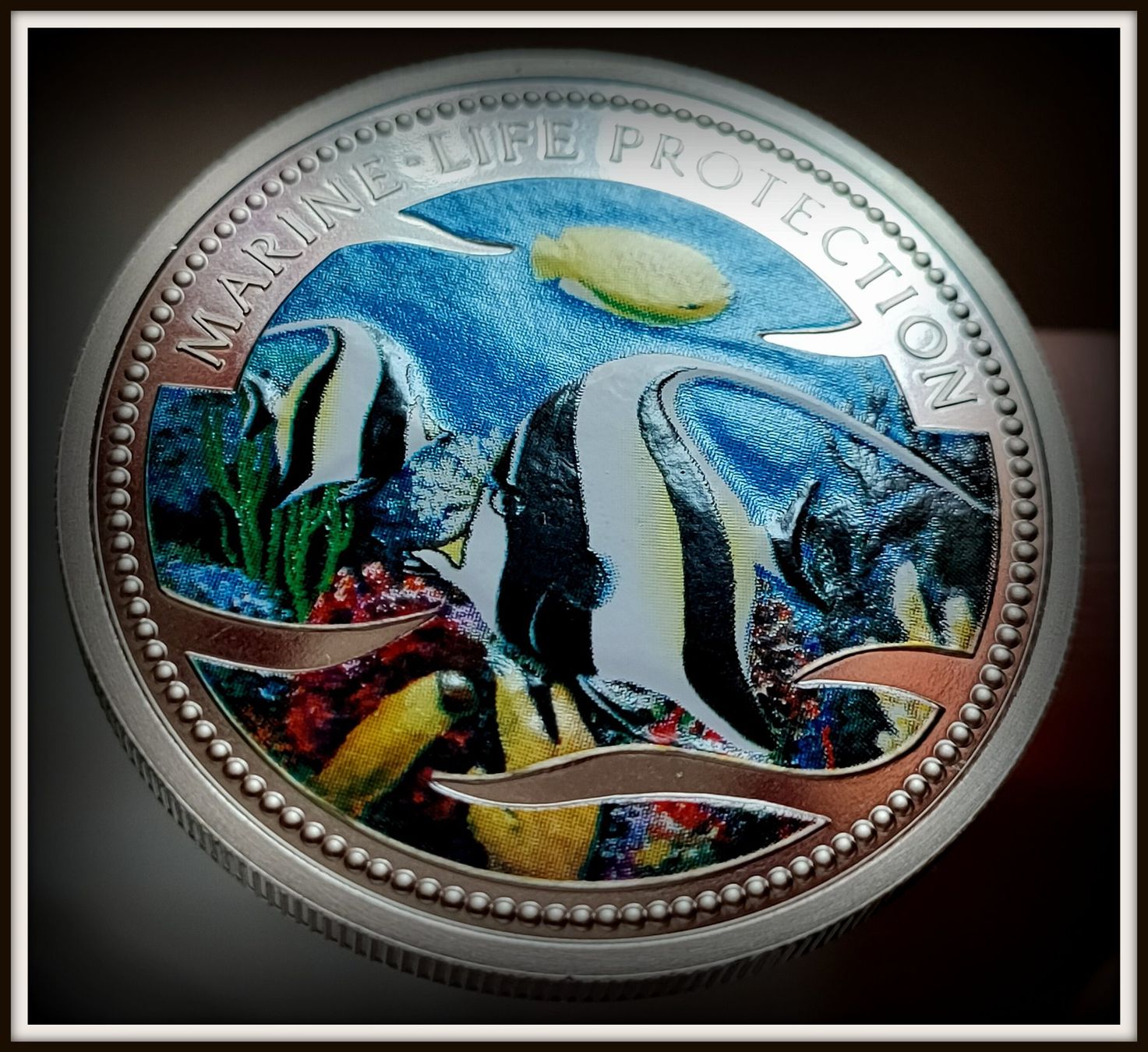 Tutti le monete: PALAU 1 DOLLAR 2001 UNZ. PROOF – Nuovo (secondo la descrizione) da winterthur venduto da CoinPassion