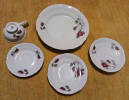 Tulowice Kaffeeservice, 5 teilig, Vintage Geschirr Polnisch!
