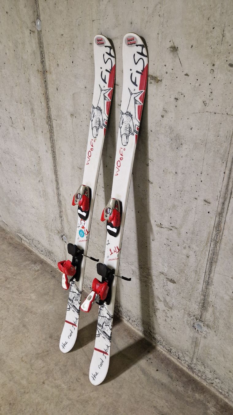 salomon fish skis Race FIS GS 166cm Ski + Salomon 12 Bindings Winter Adventure Winter board solution Salomon Fish 110cm Skis w/