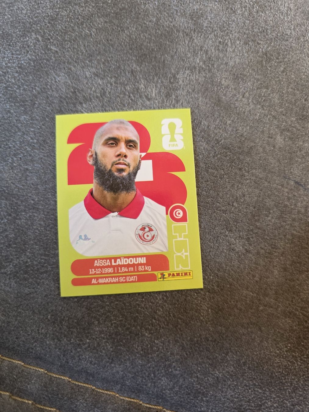 Panini Carte collezionabili: Panini WM 2026 TUN 10 – Nuovo (secondo la descrizione) da Romanshorn venduto da leeh78