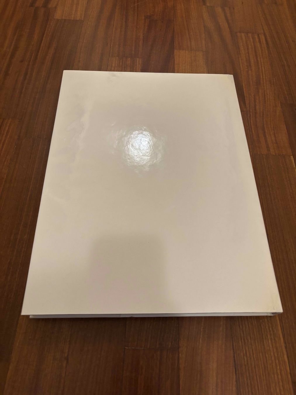 Libri: Gli Affreschi della Ghiara – Usato da Lugano venduto da Mark_Young 3