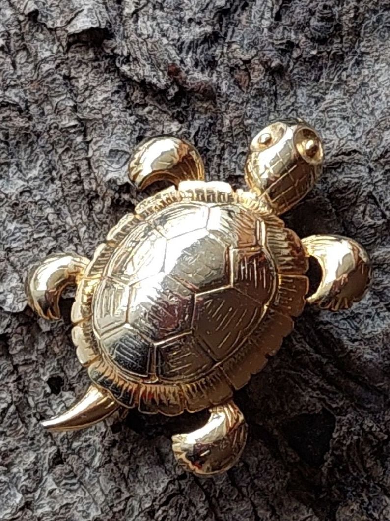 Spille & Fermagli: Brosche Schildkröte - Schmuckstück – Usato da Oberwil BL venduto da Kukkaniitty 2
