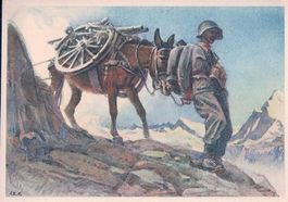 Armée Suisse, Geb. Art. Radtier (Füs. Bat. 89)