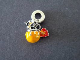 Charm Honigtopf und Biene +Garantie