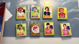 Panini WM 2026 Sticker über 400