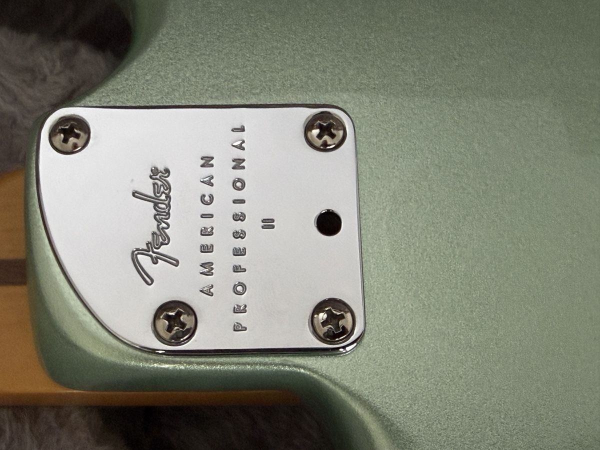 Fender Strumenti musicali: Neue Fender American Pro II Stratocaster – Nuovo (secondo la descrizione) da zuchwil venduto da solotin74 7