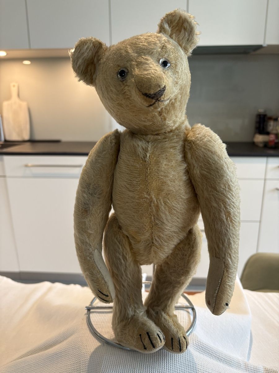 Steiff Giocattoli: Steiff Teddy – Usato da Schönenberg ZH venduto da Roxana8820