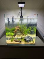 Aquarium 91l Cube Würfel