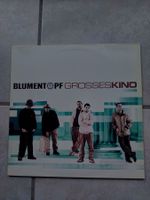 Blumentopf - Grosses Kino