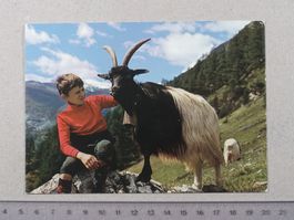 Geissbube mit Schwarzhals Ziege, 1977, Poststempel BINN