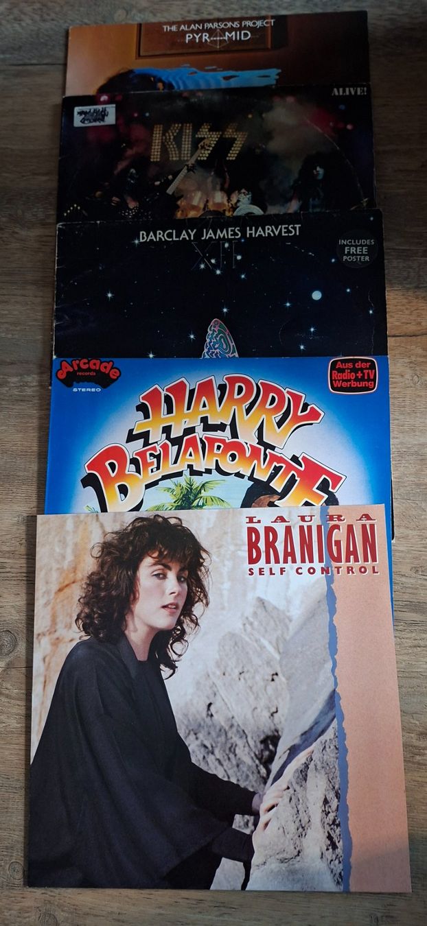 Dischi in vinile: Vinyl-Schallplatten LP's verschiedene - Top Set 11 – Usato da Langenthal venduto da Modo39