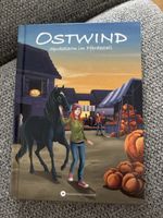 Ostwind - Spukalarm im Pferdestall