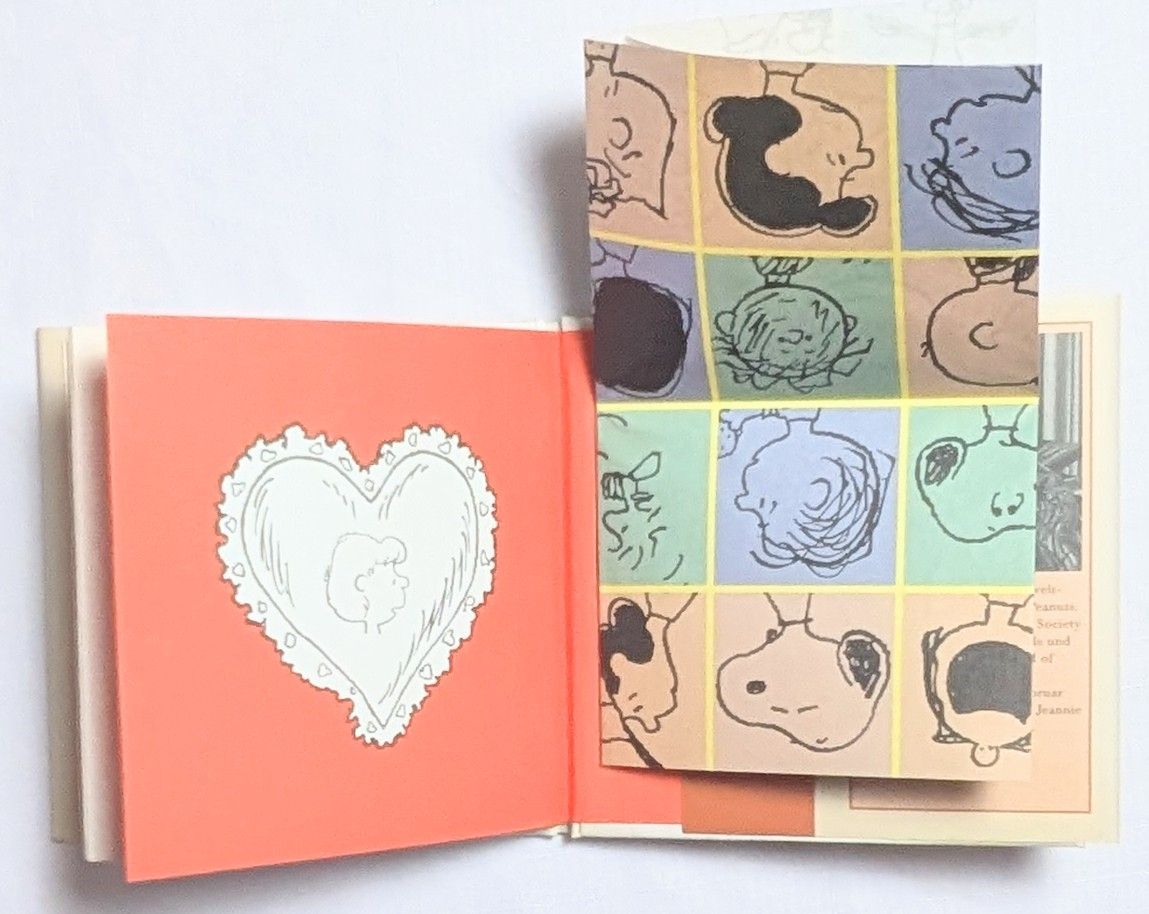 Libri: The Penuts - Snoopy - Charles M. Schulz – Nuovo (secondo la descrizione) da Wängi venduto da ABIZONE-86 3