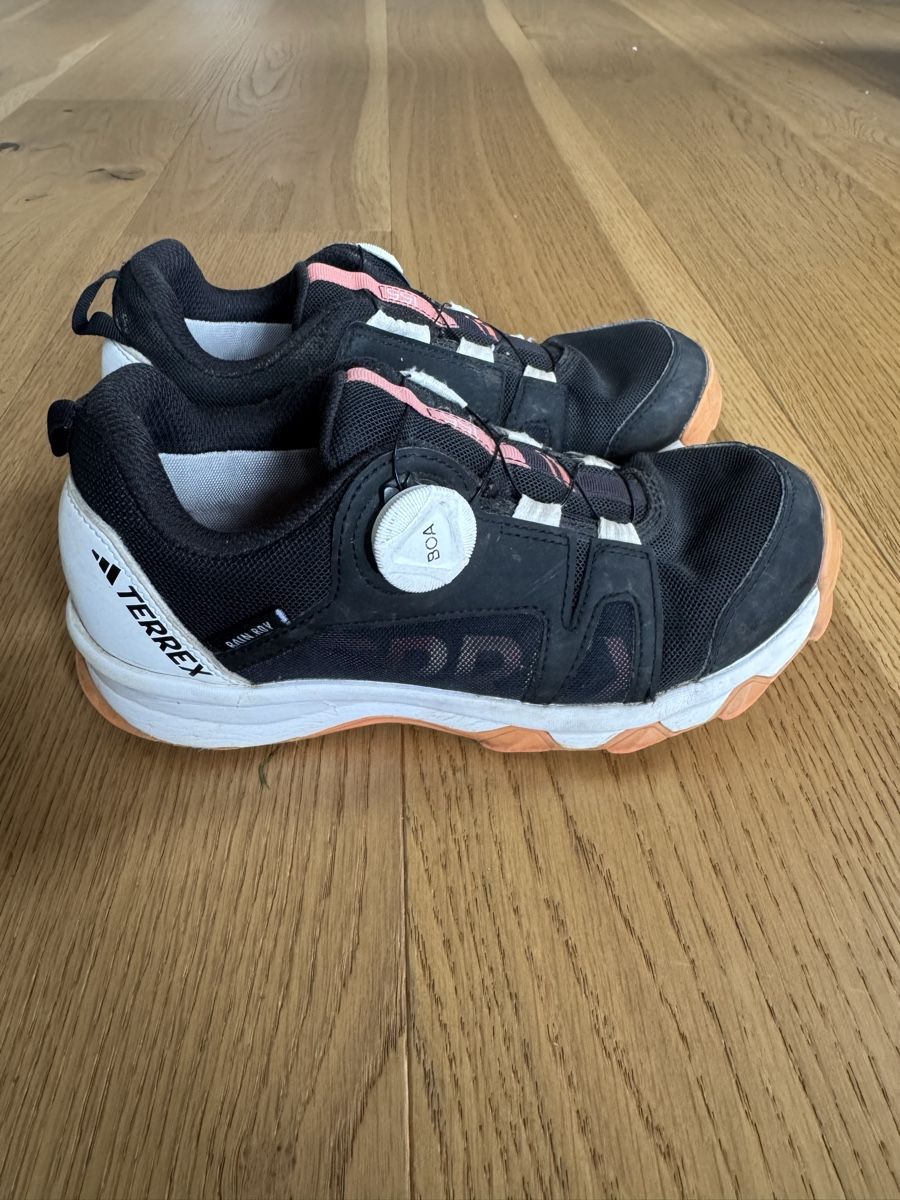 Adidas Scarpe da uomo: Trekkingschuh Adidas Terrex Gr. 36 – Usato da Koppigen venduto da BaBoKo