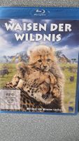 Blu Ray - Waisen der Wildnis - NEU