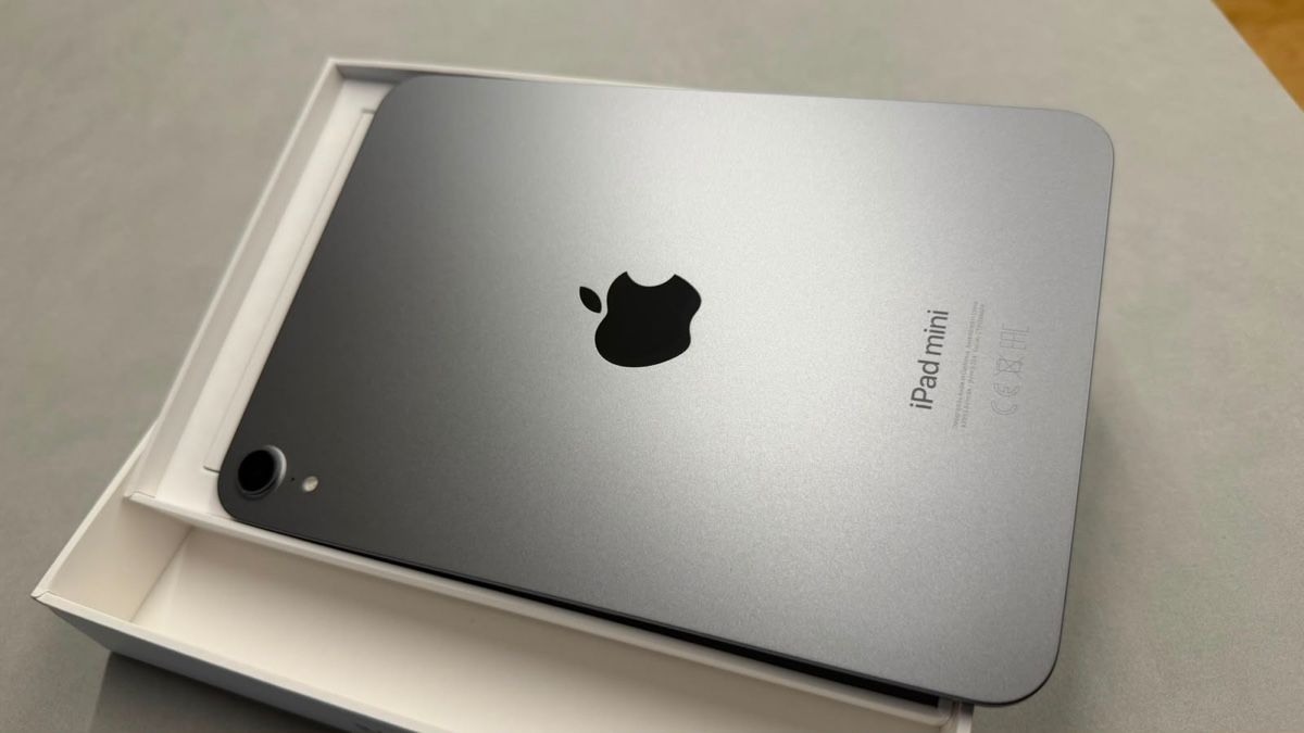 Apple Tablet PC: Apple iPad mini 7 Tablet A17 Pro – Nuovo (secondo la descrizione) da Ibach venduto da Harmony0717 2