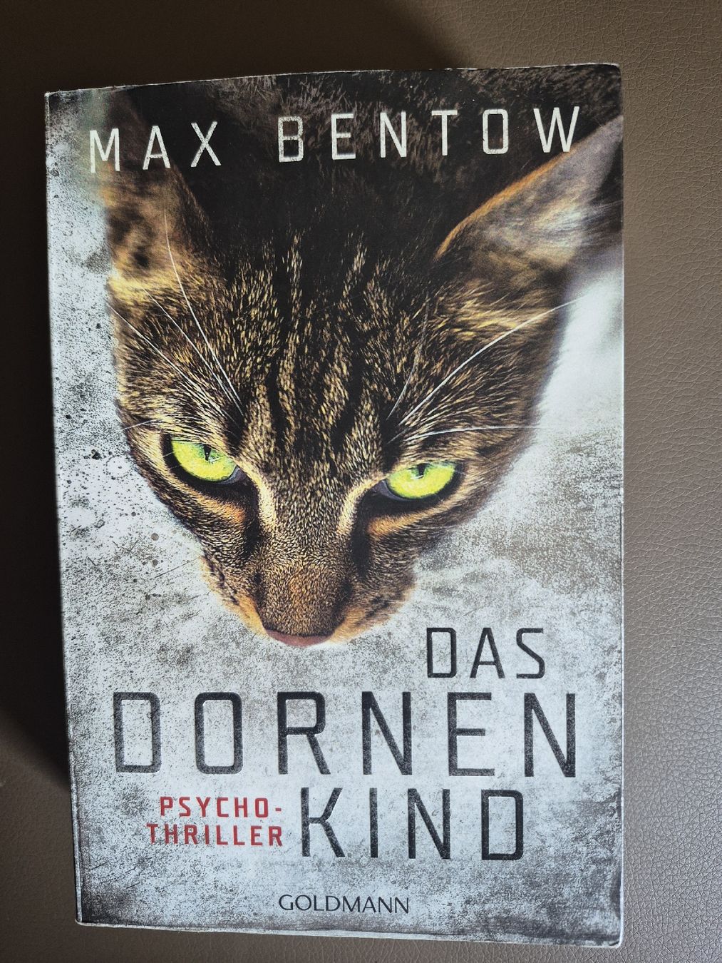 Bücher: Max Bentow Das Dornenkind gebrauchtes Taschenbuch – Gebraucht aus Speicher von Jodel100