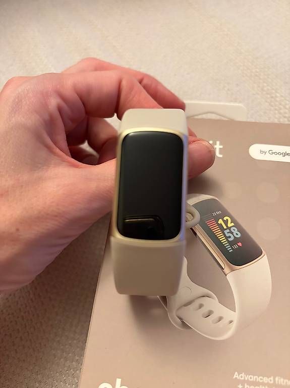 Fitbit Smartwatch: Fitbit Charge 5 - wie Neu – Usato da Bern venduto da Sipahi_ 1