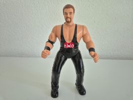 WWE WCW Action Figure - Kevin Nash
