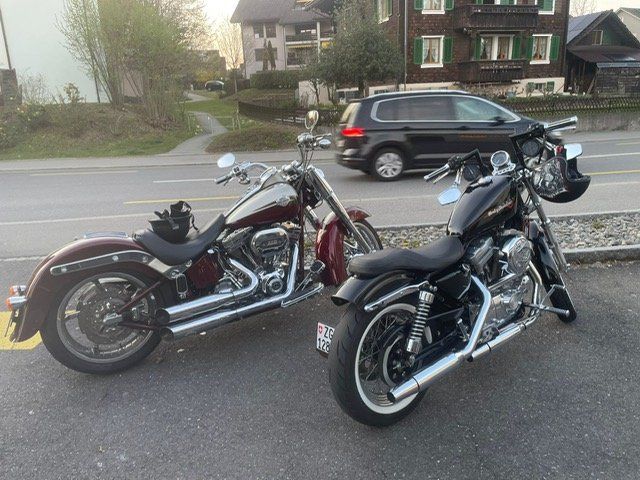 Harley-Davidson Cruisers: Sehr schöne Harley Davidson 883 – D'occasion à Widnau par ReSyncFinanceSolutio 3