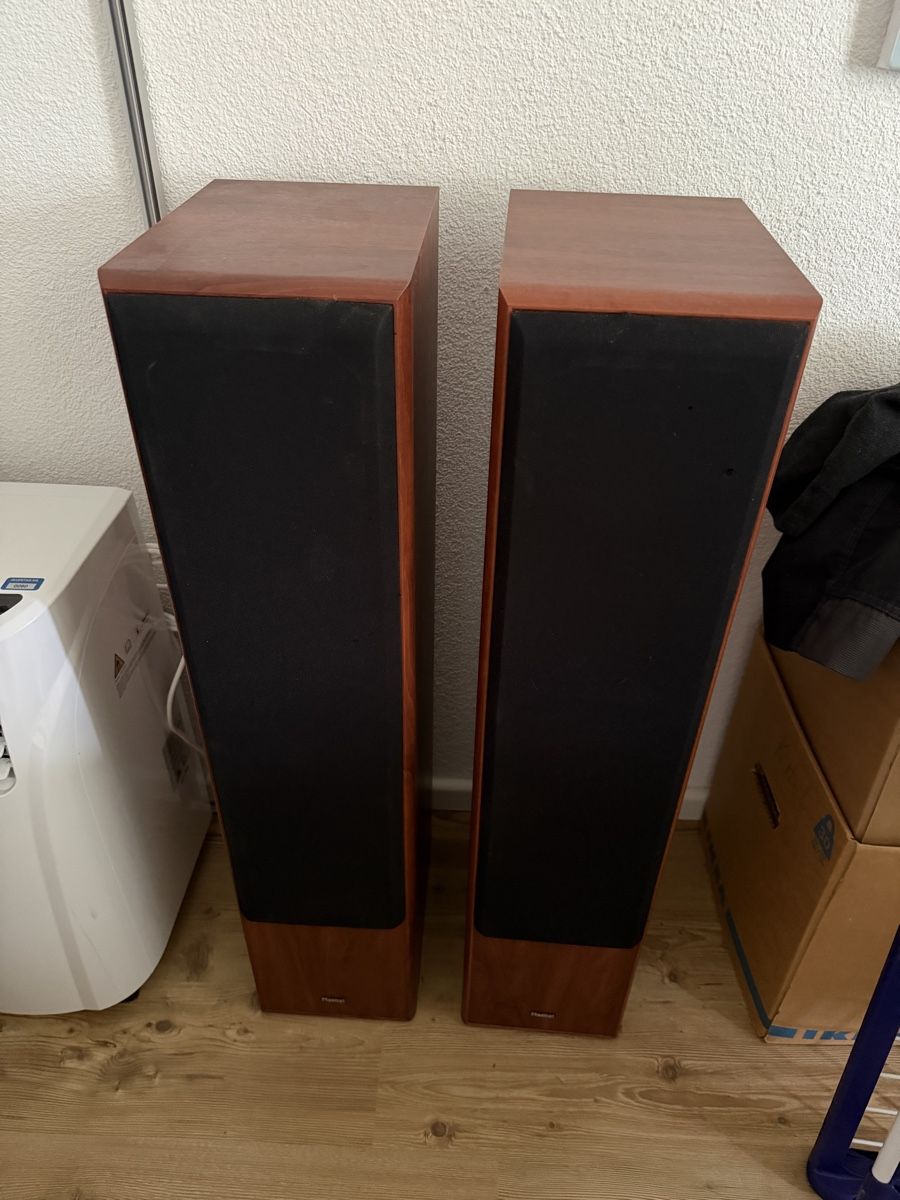 Magnat Haut-parleurs: Magnat Monitor 1000 – D'occasion à Untersiggenthal par jo_black82