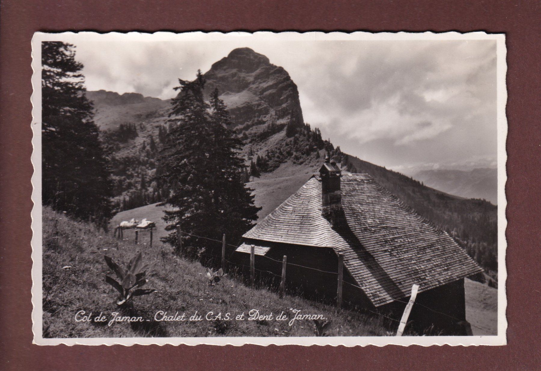 Cartes postales: COL DE JAMAN - Chalet du CAS – D'occasion à Pully par nicecards-shop