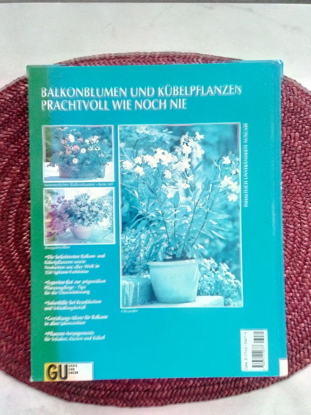 Libri: Balkon- und Kübelpflanzen – Usato da Igis venduto da bigile 1