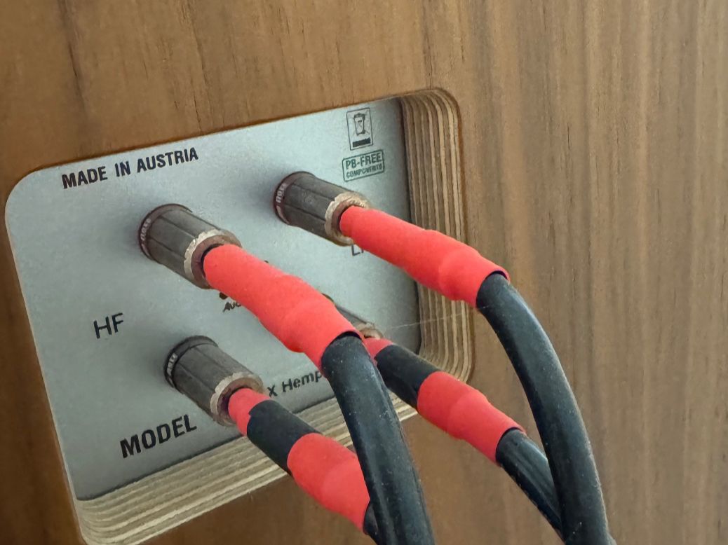 Audio Note Lautsprecher: Audio Note AN/E Hemp LX – Gebraucht aus Beinwil am See von Bergbilder 8