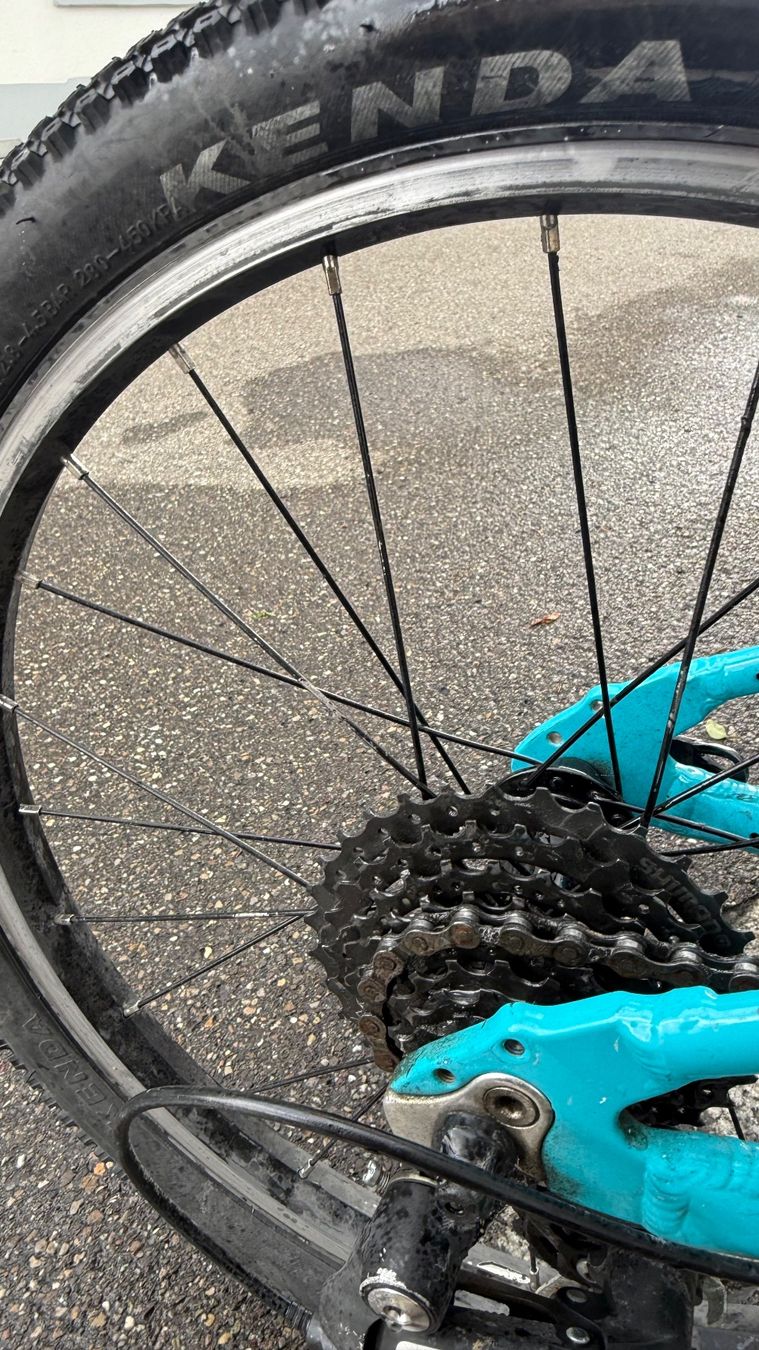 Naloo Biciclette: Naloo Kindervelo – Usato da Wetzikon ZH venduto da jon_gw8f 6