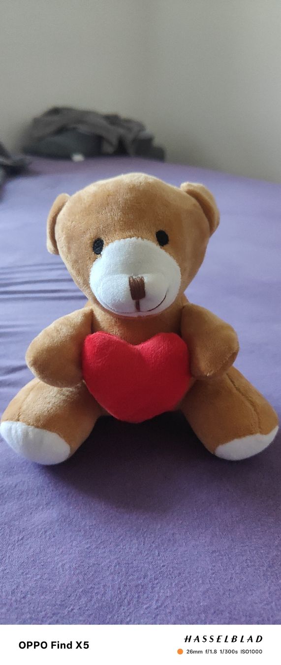 Spielzeuge: Smile Teddy mit Herz – Gebraucht aus Unterentfelden von igs_nj72 2