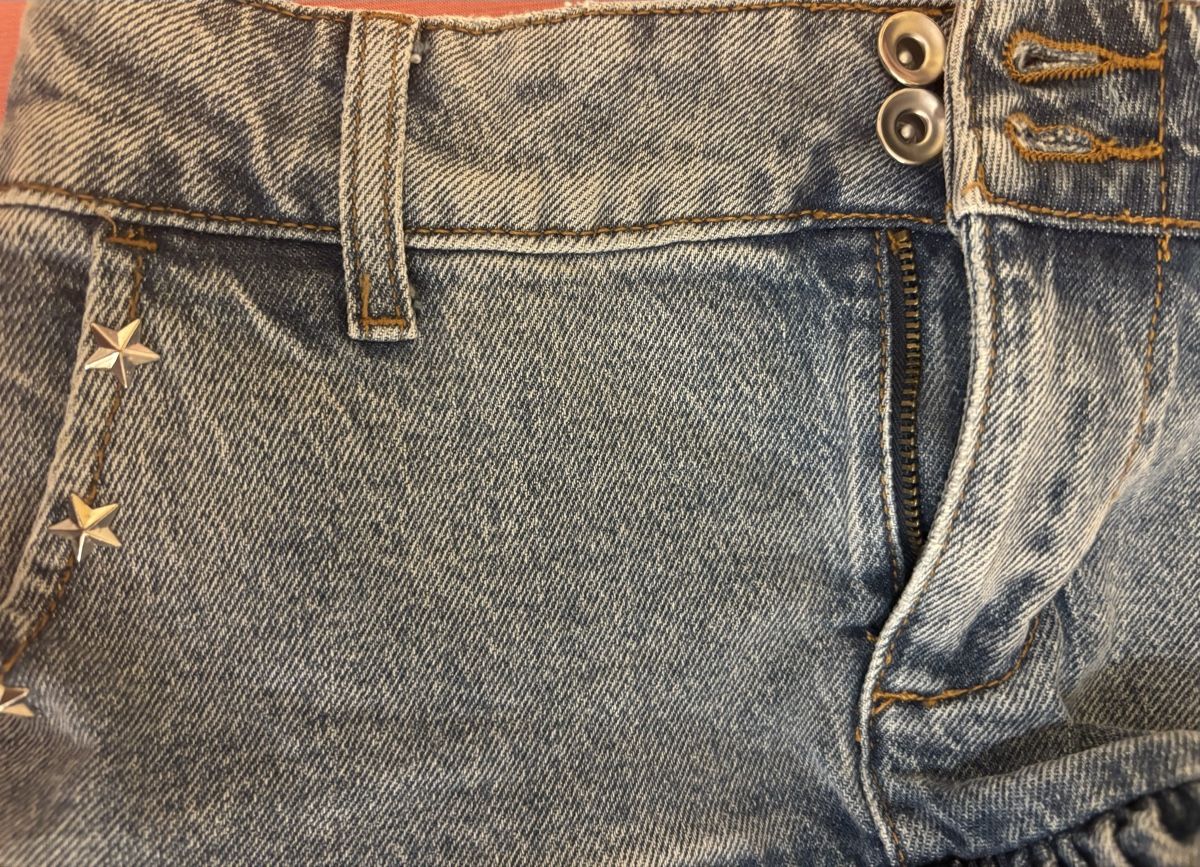 Gonne: Jeansrock – Nuovo e nell'imballaggio originale da Andelfingen venduto da Good_Quality 3