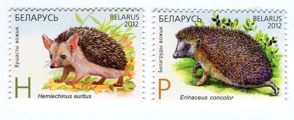 Alle Briefmarken: Briefmarken "Igel". Weissrussland. – Neu und originalverpackt aus Basel von Butsch5