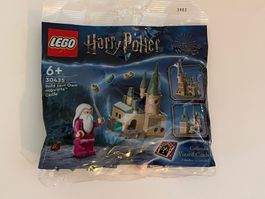 LEGO Harry Potter Polybag 30453