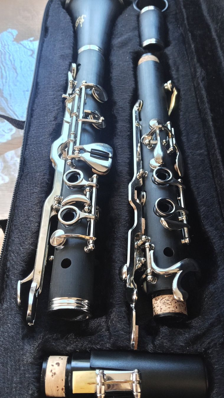 Musikinstrumente: Klarinette Albert G(Slade Designed USA) – Neu und originalverpackt aus Allschwil von B_M_W 6