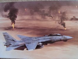 Grumman F-14B  ''Tomcat''