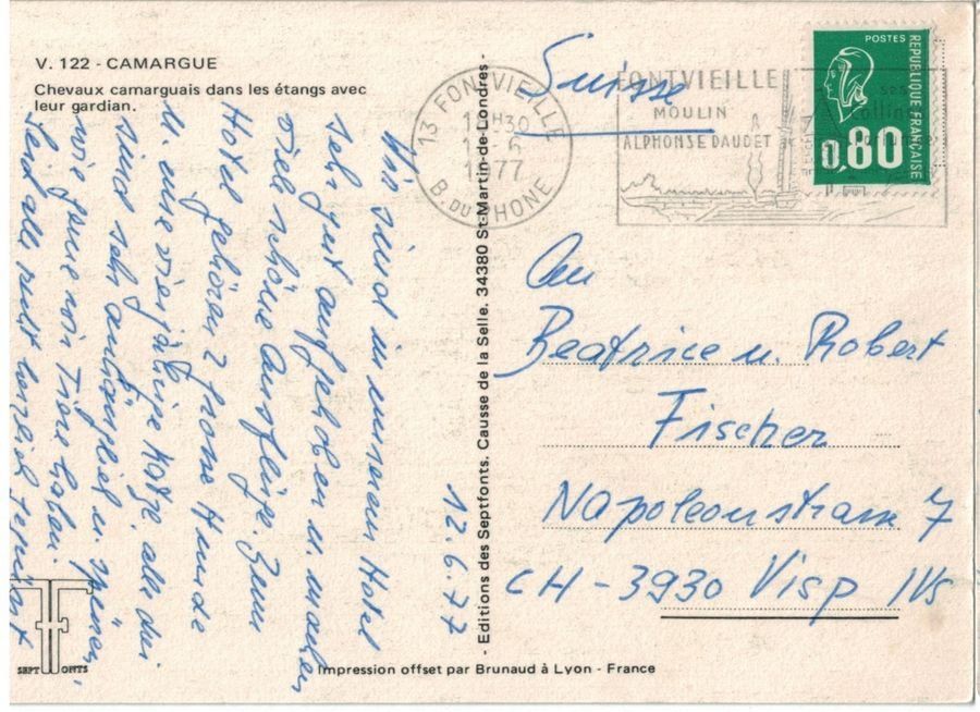Cartoline postali: Chevaux camarguais dans les étangs, circulée 1977 – Usato da Frauenfeld venduto da POML 1