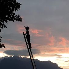 Profile image of Timmi19